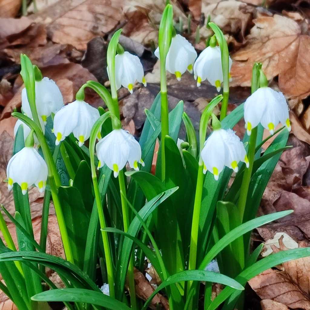 1301 - photo 2023 02 25 20 21 39 3